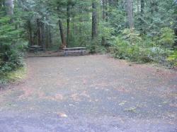 Loop C Site 116 - Newhalem Campground North Cascades NP
