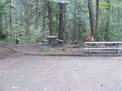 Loop C Site 113 - Newhalem Campground North Cascades NP