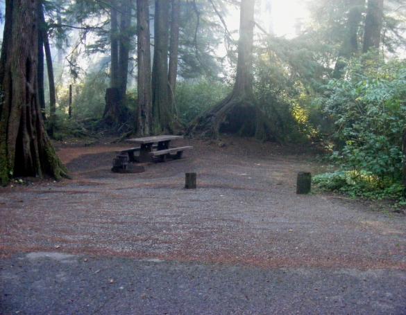 Mora Campground Loop C Site 39