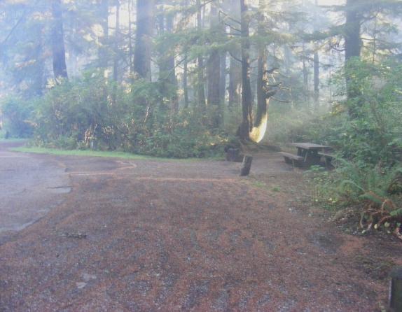 Mora Campground Loop C Site 40