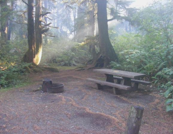 Mora Campground Loop C Site 40