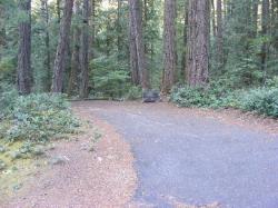 Loop C Site 71 - Newhalem Campground North Cascades NP