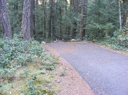 Loop C Site 72 - Newhalem Campground North Cascades NP