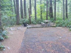 Loop C Site 73 - Newhalem Campground North Cascades NP