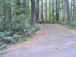 Loop C Site 73 - Newhalem Campground North Cascades NP