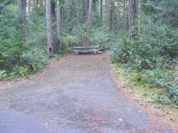 Loop C Site 74 - Newhalem Campground North Cascades NP