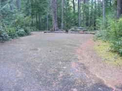 Loop C Site 77 - Newhalem Campground North Cascades NP