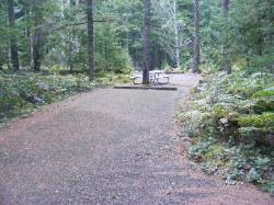 Loop C Site 80 - Newhalem Campground North Cascades NP