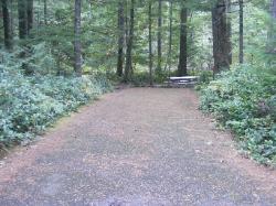 Loop C Site 81 - Newhalem Campground North Cascades NP