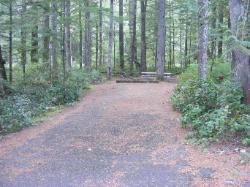 Loop C Site 83 - Newhalem Campground North Cascades NP