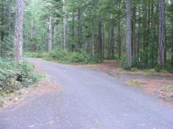 Loop C Site 85-86 - Newhalem Campground North Cascades NP