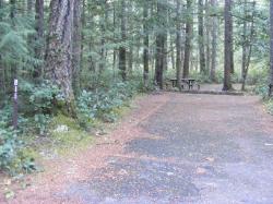 Loop C Site 85 - Newhalem Campground North Cascades NP