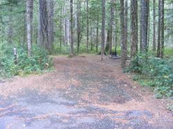 Loop C Site 86 - Newhalem Campground North Cascades NP