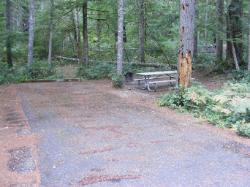 Loop C Site 87 - Newhalem Campground North Cascades NP