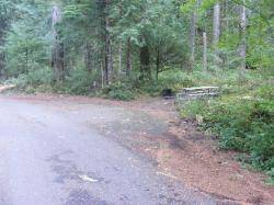 Loop C Site 90 - Newhalem Campground North Cascades NP