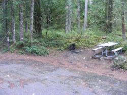 Loop C Site 90 - Newhalem Campground North Cascades NP