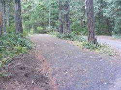 Loop C Site 93 - Newhalem Campground North Cascades NP