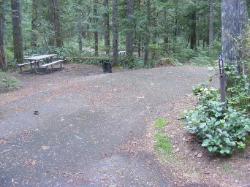 Loop C Site 97 - Newhalem Campground North Cascades NP