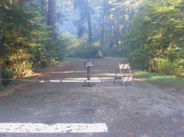 Mora Campground Loop C Olympic National Park