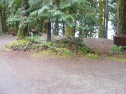Site 54 C Loop Fairholme Campground Olympic
