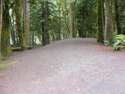 Site 54 C Loop Fairholme Campground Olympic