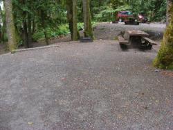 Site 54 C Loop Fairholme Campground Olympic