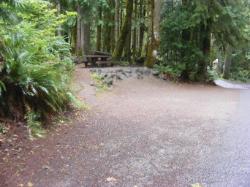Site 55 C Loop Fairholme Campground Olympic