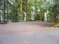 Site 56 C Loop Fairholme Campground Olympic
