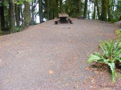 Site 61 C Loop Fairholme Campground Olympic