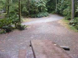 Site 61 C Loop Fairholme Campground Olympic