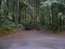 Site 65 C Loop Fairholme Campground Olympic