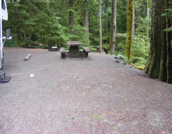 Site 66 C Loop Fairholme Campground Olympic