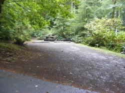 Site 69 C Loop Fairholme Campground Olympic