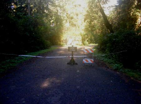 Driving Loop D Mora Campground Olympic National Park