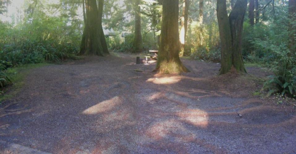 Mora Campground Loop D Site 58  Olympic National Park