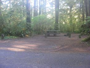 Site 66 Loop D Mora Campground Olympic