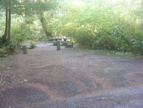 Site 70 Loop D Mora Campground Olympic