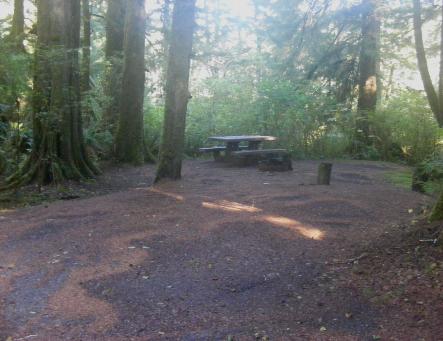Site 71 Loop D Mora Campground Olympic