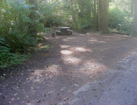 Site 74 Loop D Mora Campground Olympic