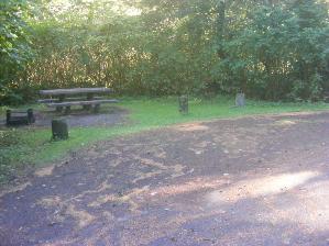 Site 80 Loop D Mora Campground Olympic