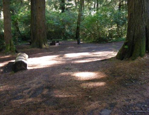 Site 85 Loop E Mora Campgroound Olympic