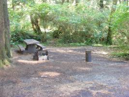 Site 85 Loop E Mora Campgroound Olympic