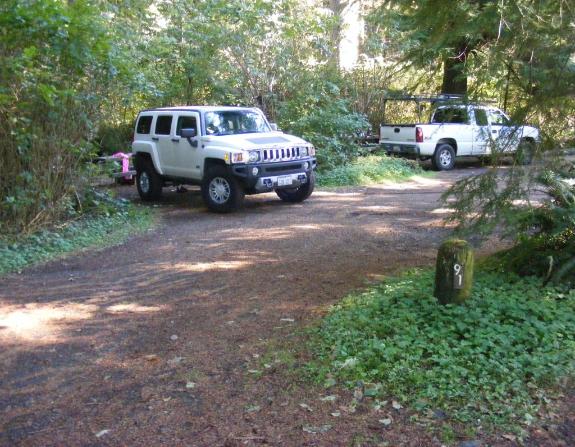 Site 91 Loop E Mora Campgroound Olympic