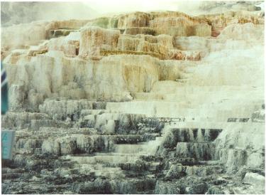 Mammoth Hot Spring Terraces
