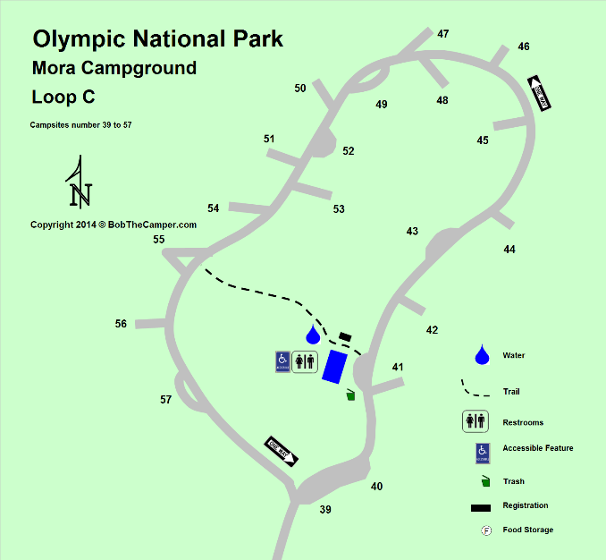 Mora Campground Loop C Detail - Olympic National Park