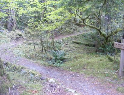 Group Campsite - Picnic Area