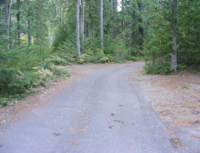 Group Campsite - Picnic Area