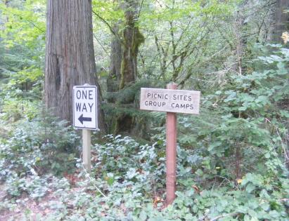 Group Campsite - Picnic Area