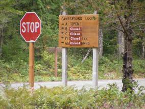 Newhalem Campground 
