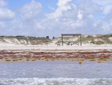 Padre Island Malaquite Campground